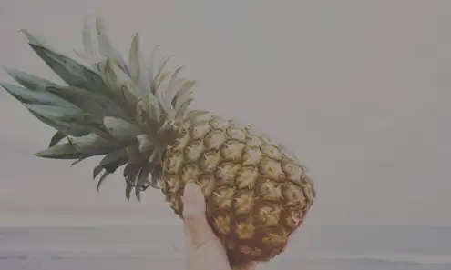 The pineapple, pictured here, is a symbol for hospitality.