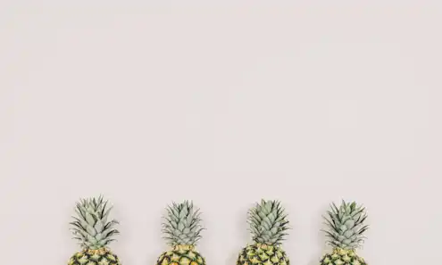 a close up of a flower