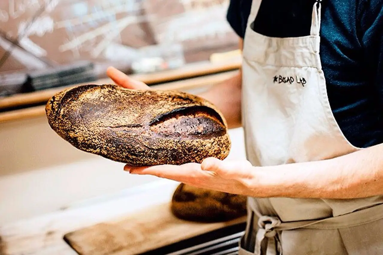 a hands holding a loaf of bread