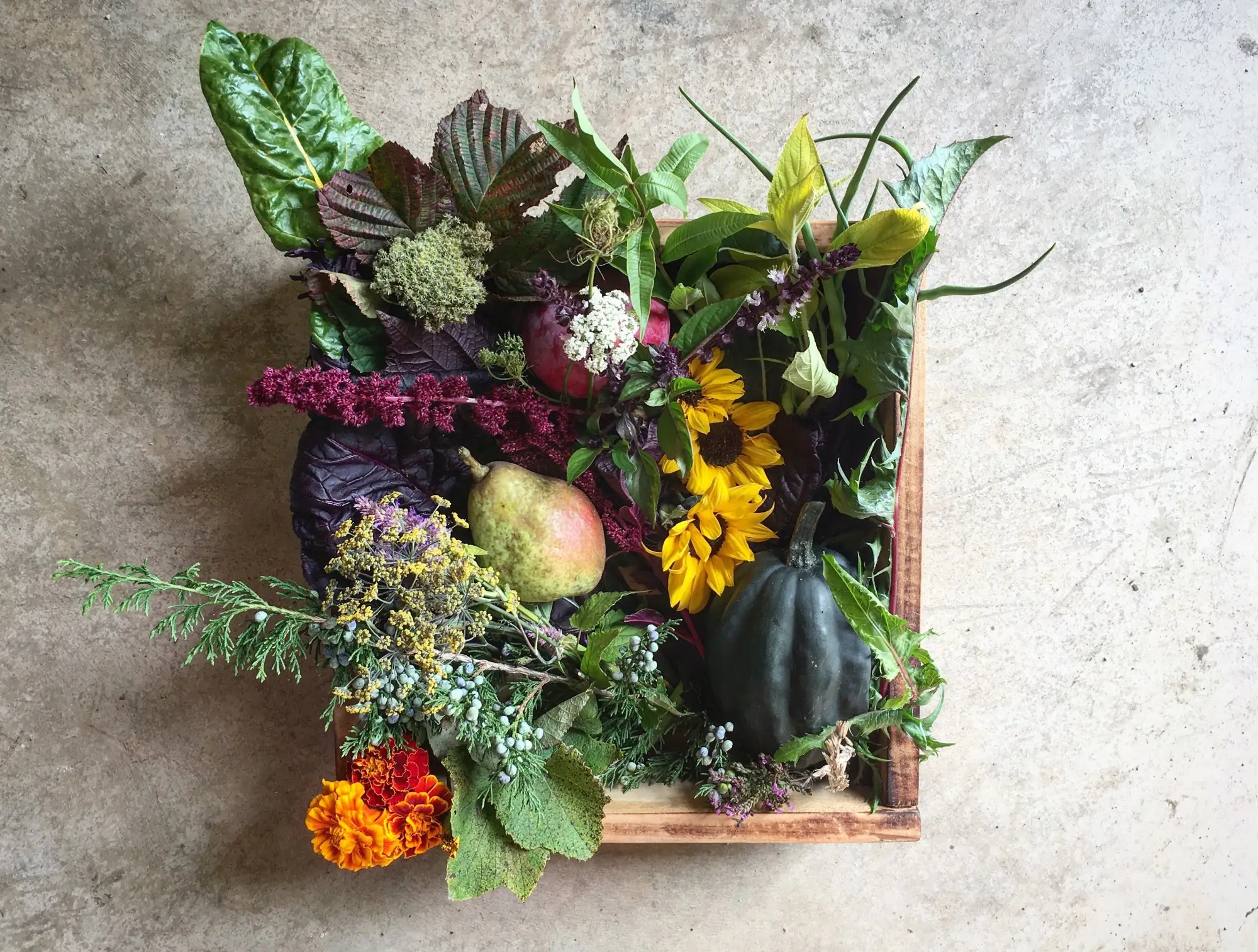 a vase of flowers on a plant