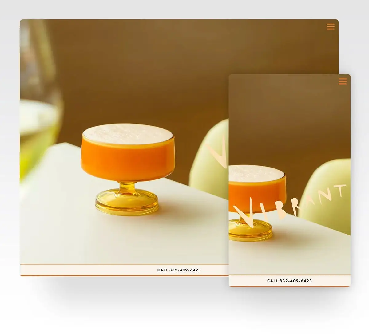 Screenshot of Vibrant's website