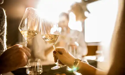 a person holding a wine glass