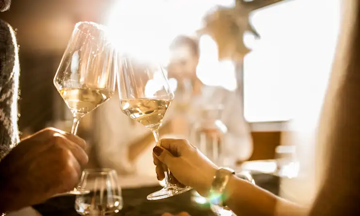 a person holding a wine glass