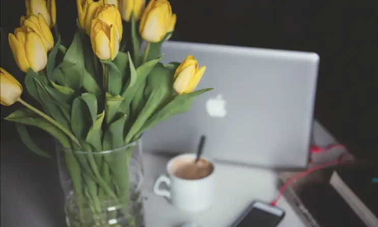 a vase filled with flowers sitting on a table