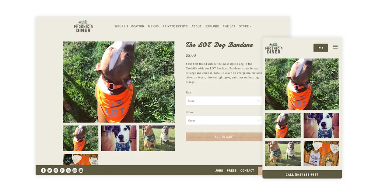 the website for Phoenicia Diner