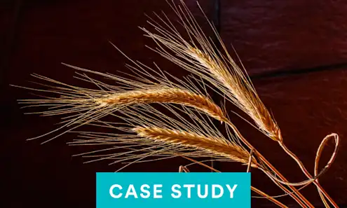 a close up of a blue background